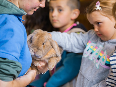 An image of a young girl stroking a bunny.