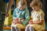 An image of a girl gently stroking a guinea pig rested on her lap, whilst another girl waits for their turn.