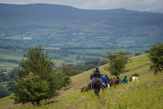 An image of a line of single file horse riders heading of into the distance, greenery surrounding them.