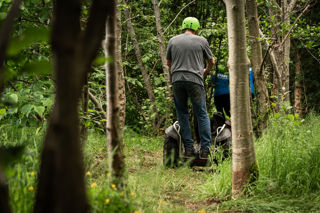 An image of a man on a Segway going down a path through the woods.